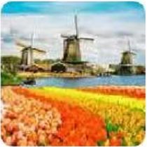 De Tulpenpoort logo